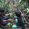 KTH Bukit Ijau Tanami Hutan Bukit Betabuh 30 Ha Lagi